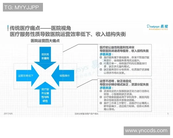 深入分析成都篮球队的运营策略与市场推广模式探讨